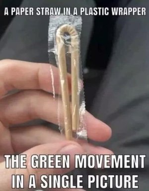 IMG_1598.jpeg