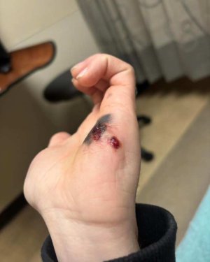 G44 AD into hand 2.jpg G44 AD into hand 2.jpg