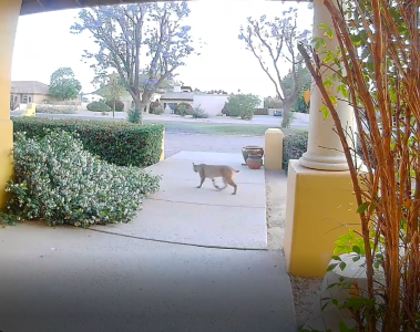 Visitor_5-14-24b.png