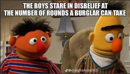 burgler took a lot of rounds.png