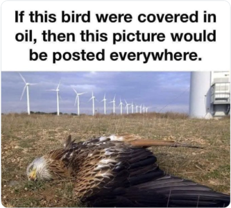 IMG_4448.png