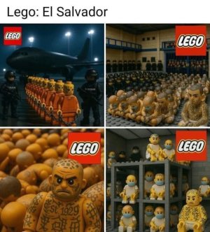 IMG_4470.jpeg
