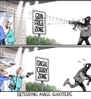 gun free zone.jpg