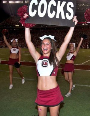 UofSC gamecocks.jpg