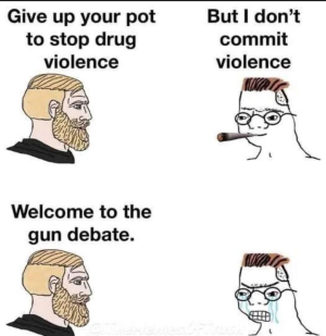 gun debate logic.png