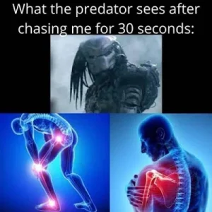 predator sees through me.webp