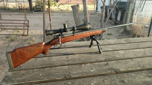 My Mauser 2.webp