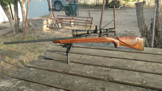 My Mauser.webp