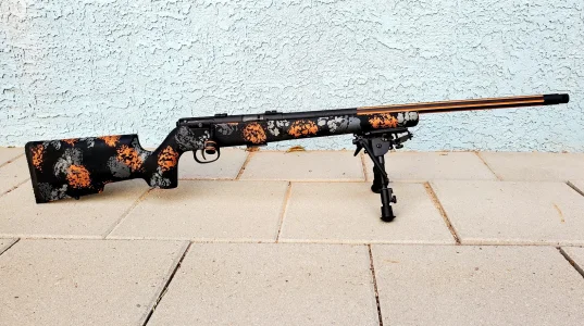 Camo 3.webp