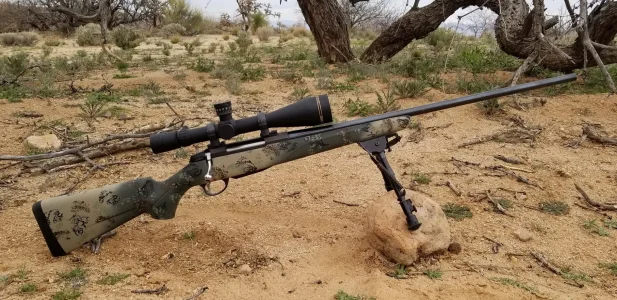 Camo 6.webp