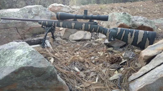 Camo 10.webp
