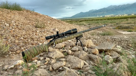Camo 11.webp