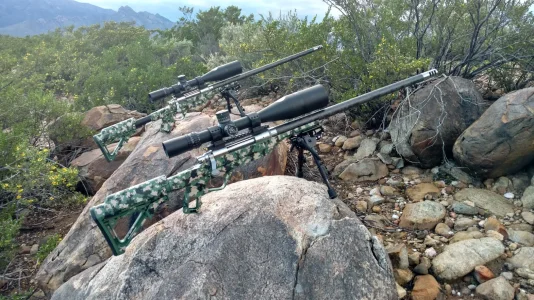 Camo 12.webp