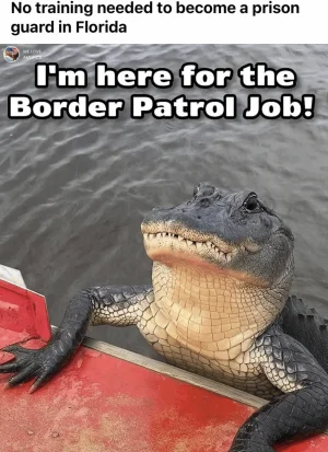 border patrol gator.webp