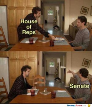 A63B3996-B012-41C0-AC0E-C5F0E1F38622.jpeg