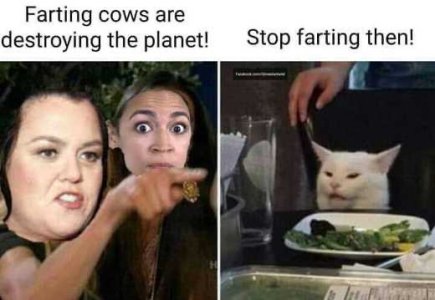 60D27E3E-9706-43ED-971D-06E515DA8579.jpeg