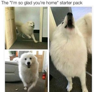 C5E179FD-9AEE-4374-BDEE-7246397F62C8.jpeg