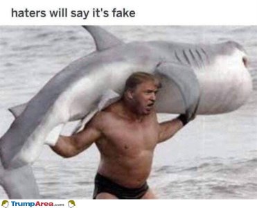 386C8A89-1800-40BC-BB2D-B96768522888.jpeg