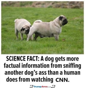 157D5B76-8323-4769-86D7-F7C024574652.jpeg