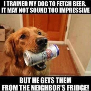 dog.jpg