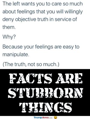 FBE15774-5513-4B03-87AB-0F4462E05620.jpeg