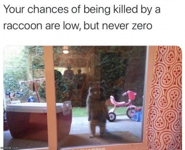 FF0F8188-AAF5-44C4-9684-1CB328023F88.jpeg