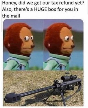15834643075378839478000130358731.jpg