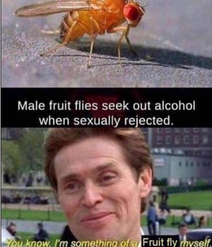 39748D16-46E3-4E47-B89D-A93ADA0E7F72.jpeg