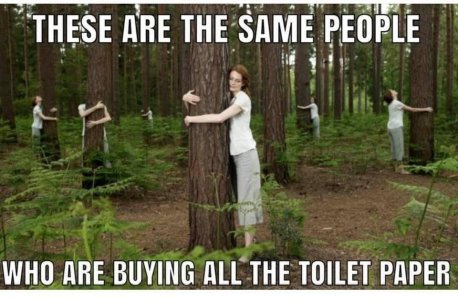tp.jpg