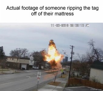 5DE68A24-C1DF-481A-B0E7-8D517FAADAF0.jpeg