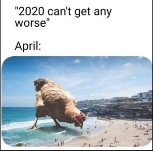 3AE3D9E8-09AF-4770-B281-04B7EFF67EF3.jpeg