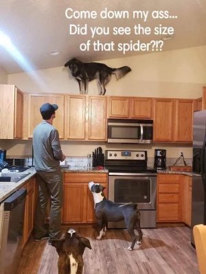 6E8C37DC-E1F1-4902-B864-50039A919E91.jpeg