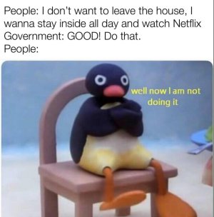 C79EE830-E3B0-46F6-B35D-F8F0F56087FC.jpeg