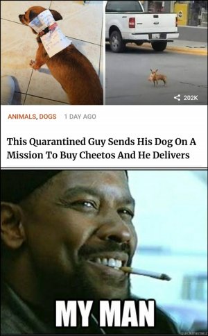 E076618A-4C02-4A86-82FD-1183B7430CE2.jpeg