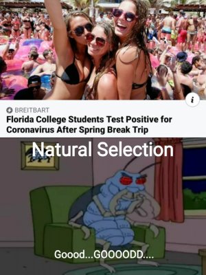 6669F476-7E5A-4592-8A31-ECBC07003EBD.jpeg