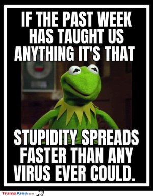 44CEA0DA-8406-4383-9186-C422935AF5A7.jpeg
