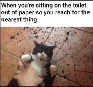 1A7A91E4-42F3-4166-BFA0-4B30AAC88ACA.jpeg