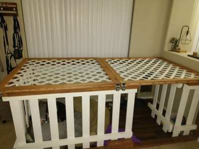dog kennel (600 x 450).jpg