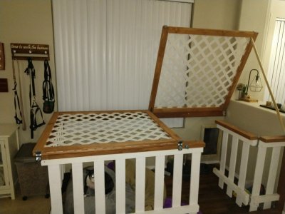 dog kennel 1 (1000 x 750).jpg
