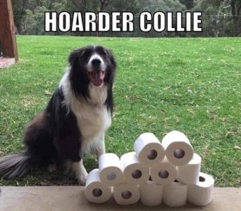 62AEBD32-D07B-472A-8F43-56A4BCFCA23F.jpeg