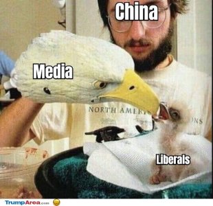 20284CDA-C1A1-45F1-85DA-F84BF511331B.jpeg