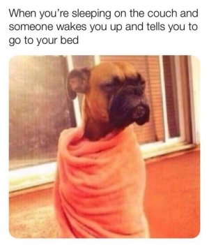 63002516-5D03-477F-930E-DACA427CB38A.jpeg
