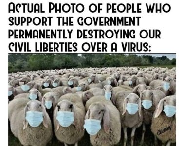 0D515CEF-AA4D-4705-9E78-F36B04E544E5.jpeg