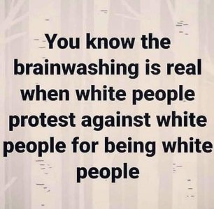DC47F7E7-5770-4D40-8964-81F1D93FA060.jpeg