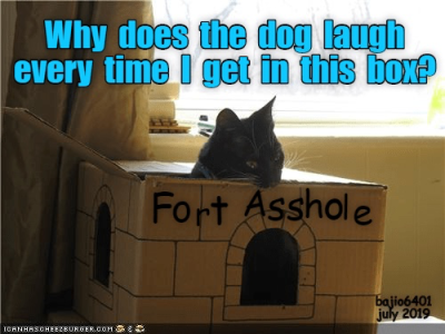 65B702A0-AB36-4BDA-9816-C8BF9DE82F03.png