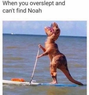 A3E8AD22-77CF-42AD-899C-A3B15DBD7D6C.jpeg