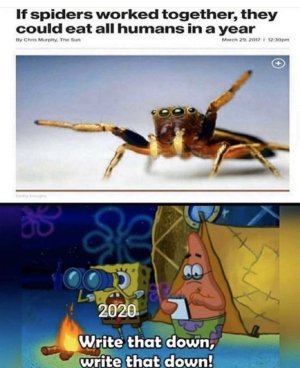 44E6BAF8-94E0-4FF2-9F67-585EB0E24E47.jpeg