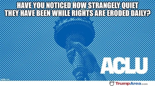 DC0138A2-3EE3-4B9A-970A-DF834919877B.jpeg