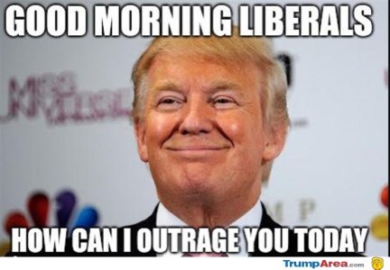 074B8F74-5268-44CA-95F3-D1BB61E373B0.jpeg