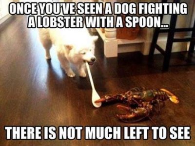 01A08326-C96A-46F5-80AC-DC50864C4F20.jpeg